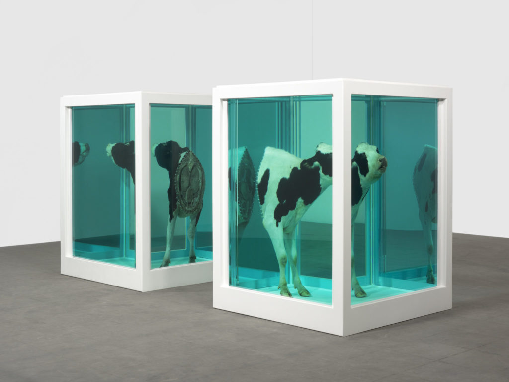 Damien Hirst, Love's Paradox (Entrega o autonomía, separación como condición previa para la conexión), 2007. Fotografiado por Prudence Cumming Associates © Damien Hirst & Science Ltd. Todos los derechos reservados, DACS 2011.
