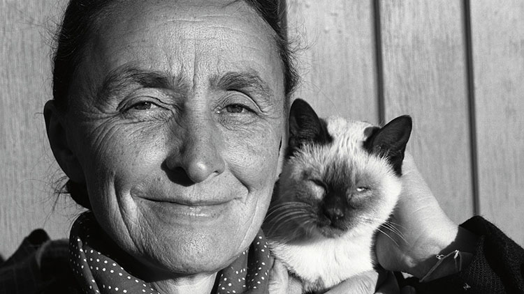 retratos-de-artistas-famosos-con-sus-gatos-08