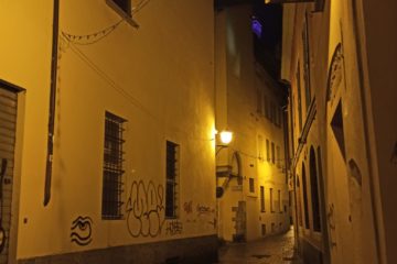 Bologna/Foto cortesía: Libertad Graterol